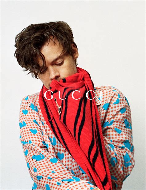 harry styles gucci tag